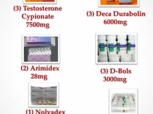 Buy Intermediate Steroid Cycle I Online