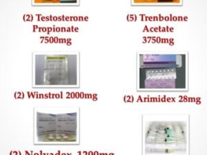 Buy Intermediate Steroid Cycle II Now