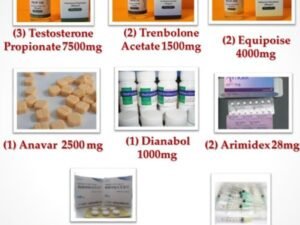 Buy Intermediate Steroid Cycle III Online