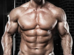 Buy Advanced Steroid Cycles For Sale