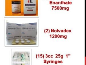 Buy Beginner’s Steroid Cycle | Effective